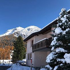 Appartement Engadin 2 1/2 Zi-Wg