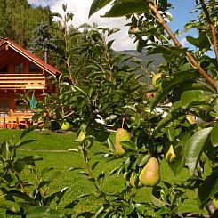 Appartement Ferienwohnungen Chà d’Immez, (Müstair).