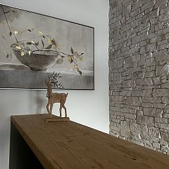 Appartement Casa Ladina 4