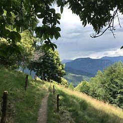 Appartement Typisches Tessiner Landleben im Centovalli