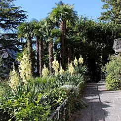 Appartement Lavendel