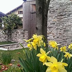 Appartement Corte delle Camelie - Wohnung im ersten Stock