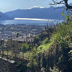 Appartement Panoramawohnung Orselina Locarno