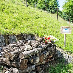 Vakantiehuis Rustico Fey