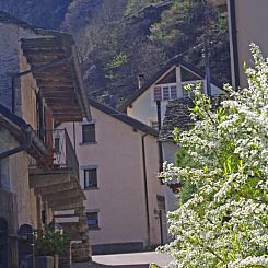 Vakantiehuis Haus Riga Rossa