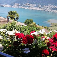 Appartement Casa Ines - 1 1/2 Zimmer Whg Terrasse mit Seesic