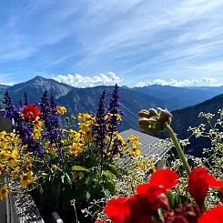 Appartement Chalet Abendstern