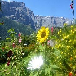 Appartement Chalet Abendstern