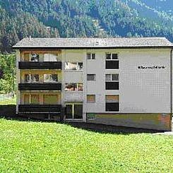 Appartement Haus Rhoneblick