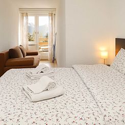 Appartement Terrasse Des Alpes 815
