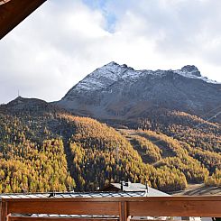 Appartement Flamingo