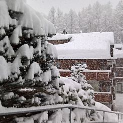 Appartement Swiss Chalet