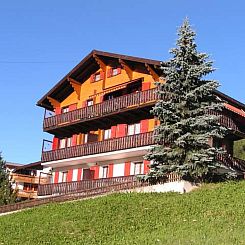 Appartement Mon Etoile, (Grächen),
