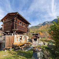 Appartement kornstadel ARIDA PRATA "natur pur", (Grächen), 