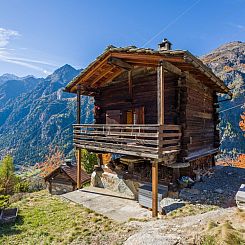 Appartement kornstadel ARIDA PRATA "natur pur", (Grächen), 