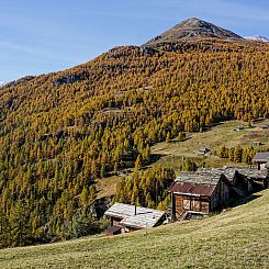 Vakantiehuis Chalet 1679