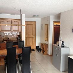 Appartement in Unterbäch
