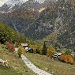 Vakantiehuis Chalet Spycher