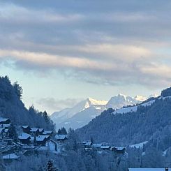 Appartement Chalet l'Eglantine, (Champery),