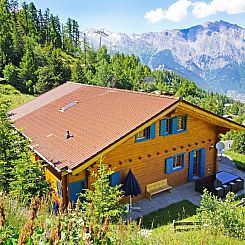 Vakantiehuis Chalet Alpina