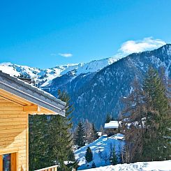 Vakantiehuis Chalet Chaud