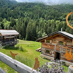 Appartement Sunny mountain apartment Aiglon A0