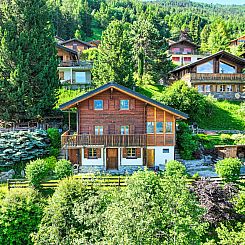 Vakantiehuis L'aïeul