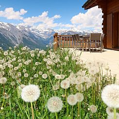 Vakantiehuis La Truffe 8