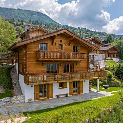 Vakantiehuis Chalet Le Papillon, sauna, 4 Vallées