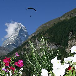 Appartement Apartments Patricia, (Zermatt),
