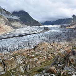 Appartement Südlenz 12 1. OG Süd