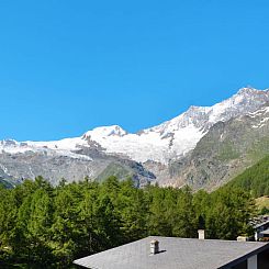 Appartement Venetz