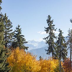 Appartement Vermala Soleil B1