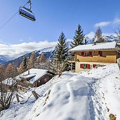 Vakantiehuis La Marmotte