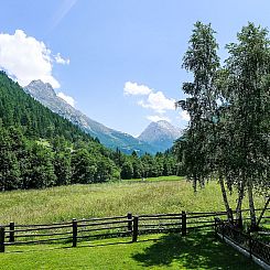 Appartement Amici