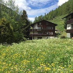 Appartement Cresta di Saas