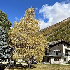 Appartement Sunstar