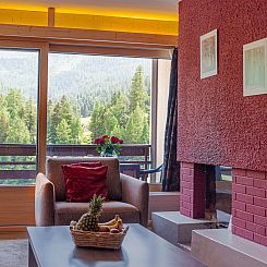 Appartement Rosablanche C61