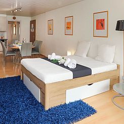 Appartement Rosablanche B21