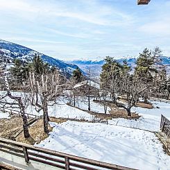 Vakantiehuis Chalet Le Rhônasson