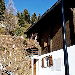 Appartement Konkordia 2 EG Süd-Ost