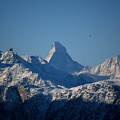Appartement Bärgblüemli 2. OG Ost