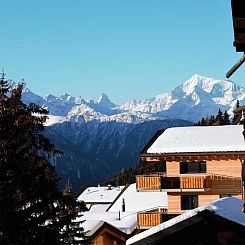 Appartement Bärgblüemli 2. OG Ost