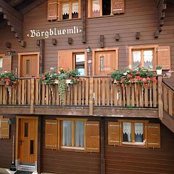 Appartement Bärgblüemli 1. OG West Appartement/Fewo, Dusch