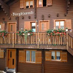 Appartement Bärgblüemli 2. OG Ost Studio, Dusche oder Bad,
