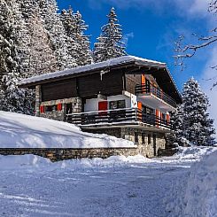 Vakantiehuis Chalet Les Girolles - Anzère