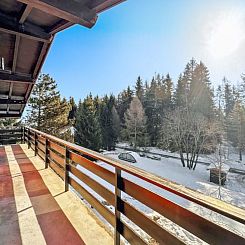 Vakantiehuis Chalet Les Girolles - Anzère