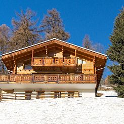 Vakantiehuis Chalet Greppon Blanc