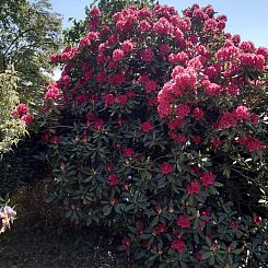 Vakantiehuis Finca "Motje" mit Aussicht
