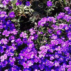 Vakantiehuis Finca "Motje" mit Aussicht